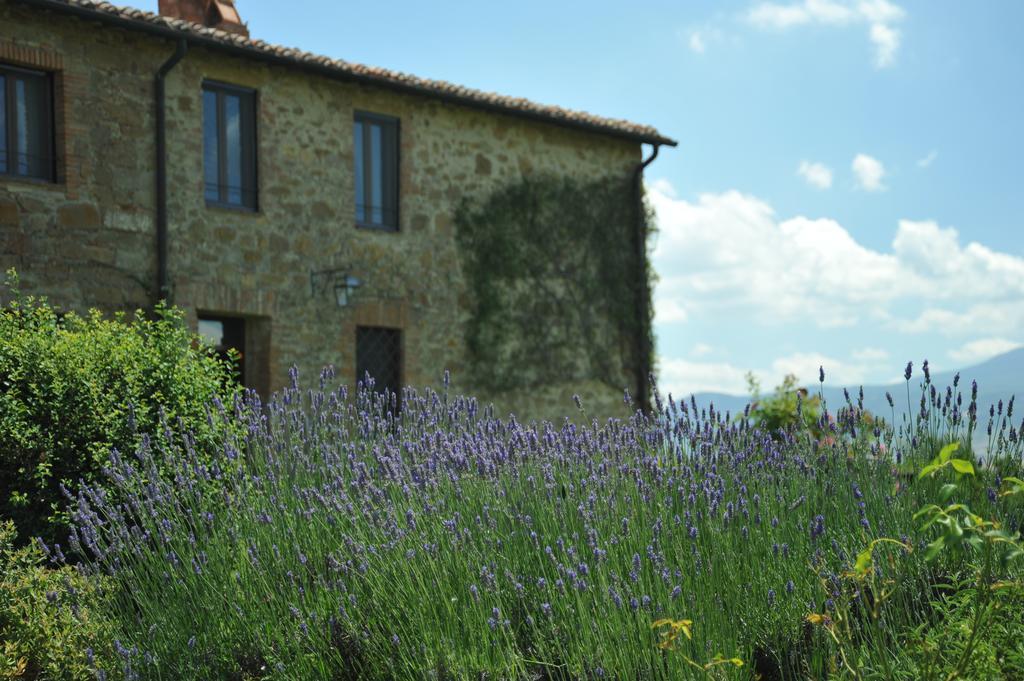 L'Olmo Bed and Breakfast Monticchiello Exterior foto